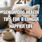 21 Senior Dog Health Tips for a Longer, Happier Life