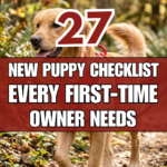 27 New Puppy Checklist Every First-Time Owner Needs