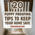20 Puppy Proofing Tips to Keep Your Home Safe